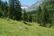 DSC04011