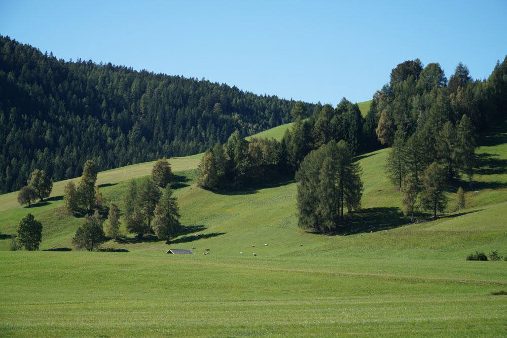 DSC04094