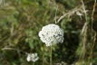DSC04097