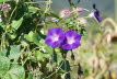 DSC04157