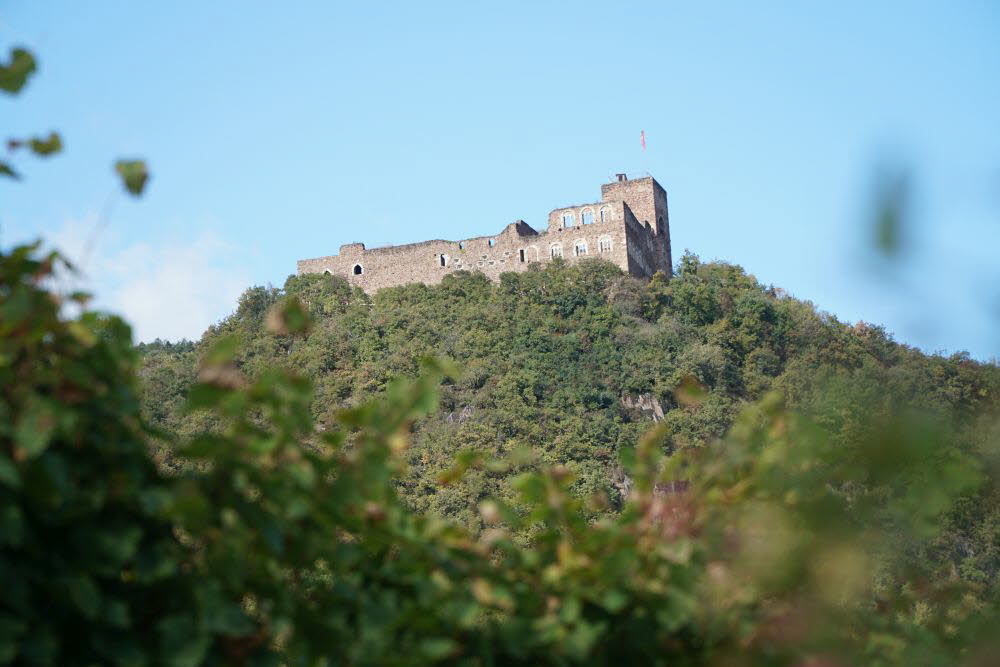 DSC04306