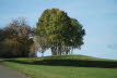 DSC04764