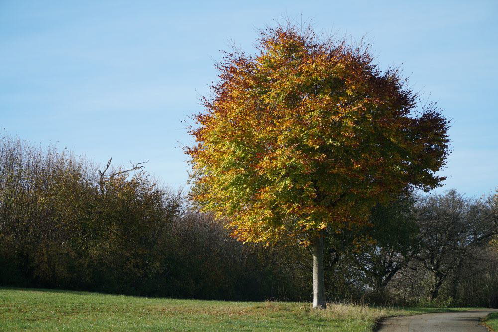 DSC04765