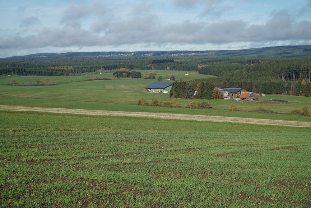 DSC04766