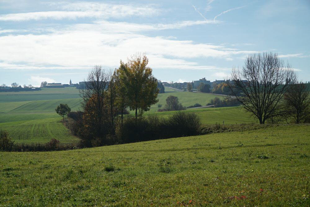 DSC04773