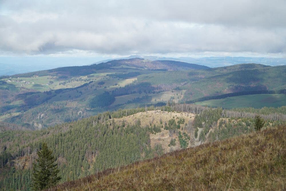 DSC04795