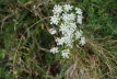 DSC04877
