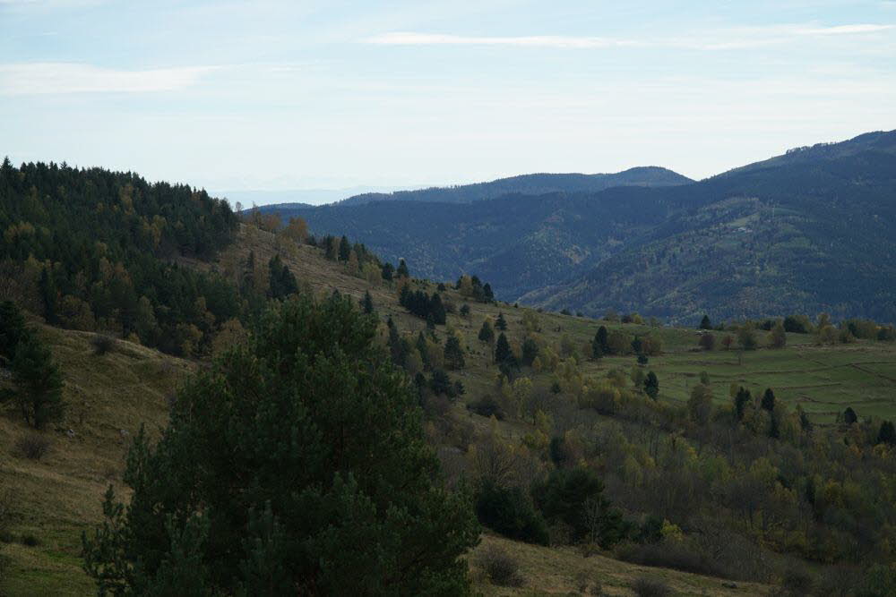 DSC04880