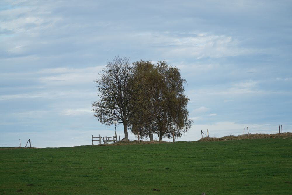 DSC04881