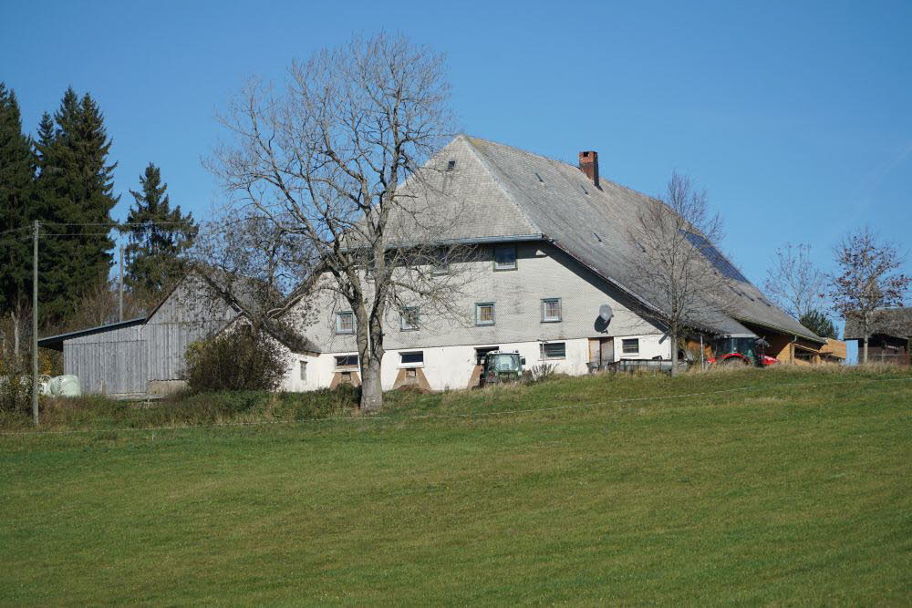 DSC04890