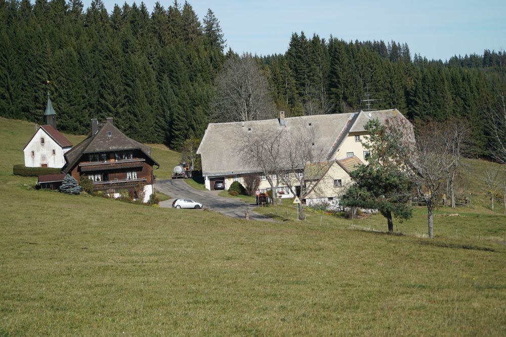DSC04895
