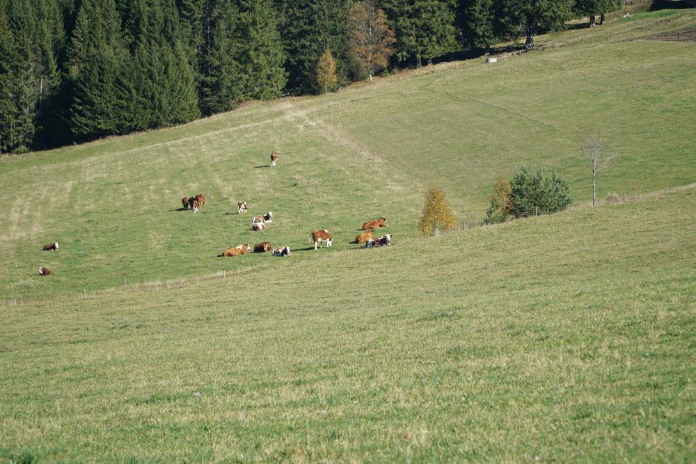 DSC04897