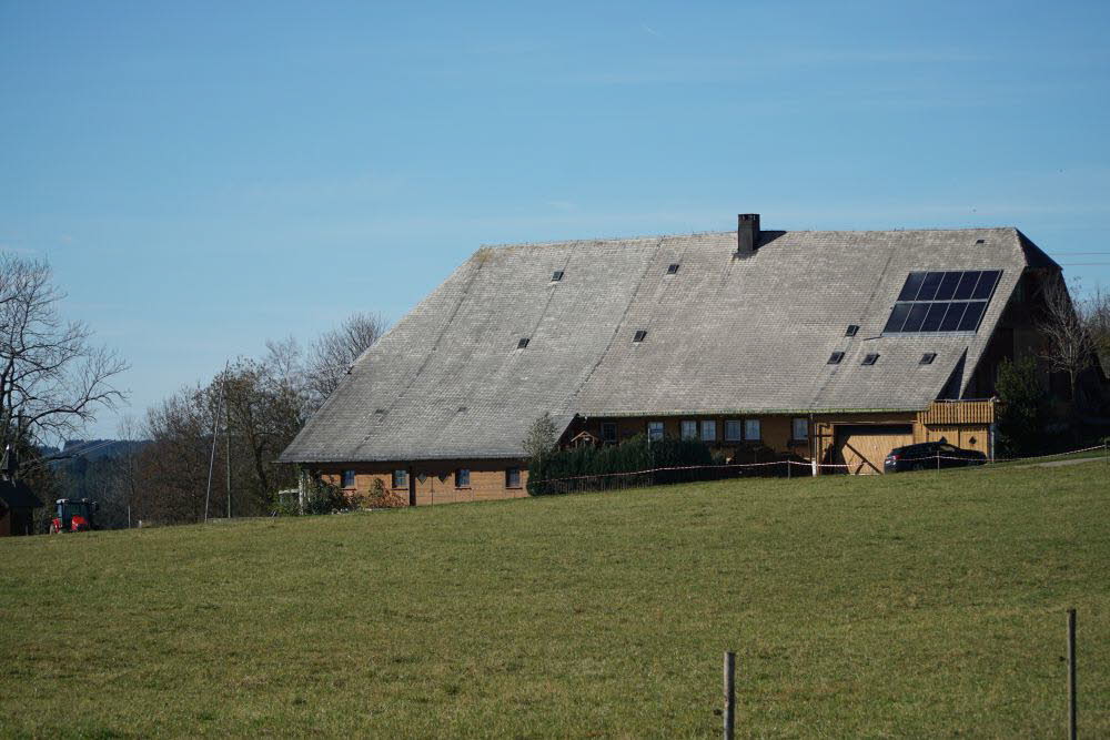 DSC04898