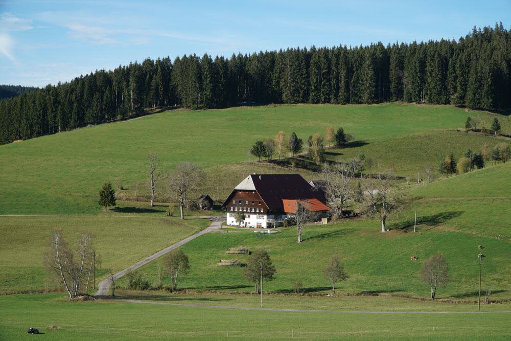 DSC04906
