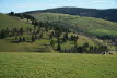 DSC04910