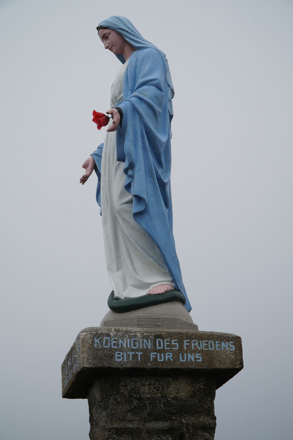 DSC05538