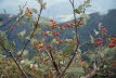 DSC05541