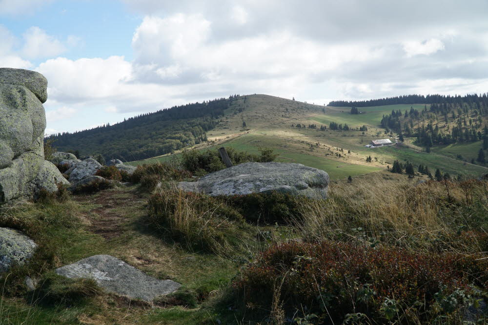 DSC05561
