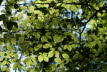 DSC05583