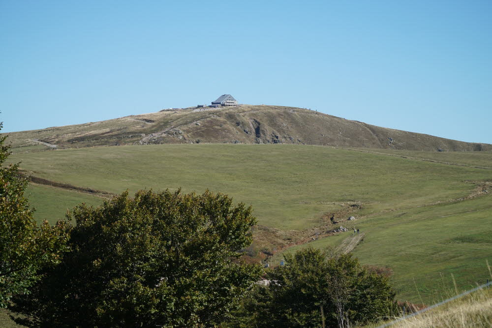 DSC05588