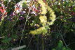 DSC05590