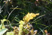 DSC05591