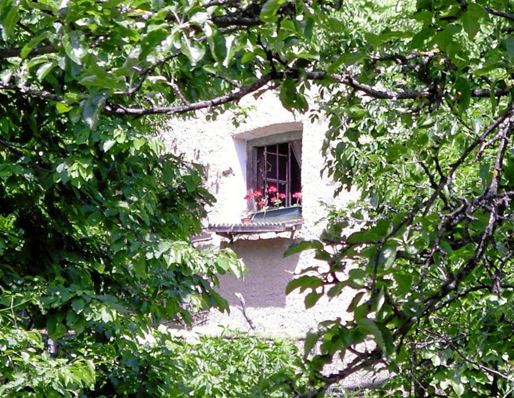 IMGP0210