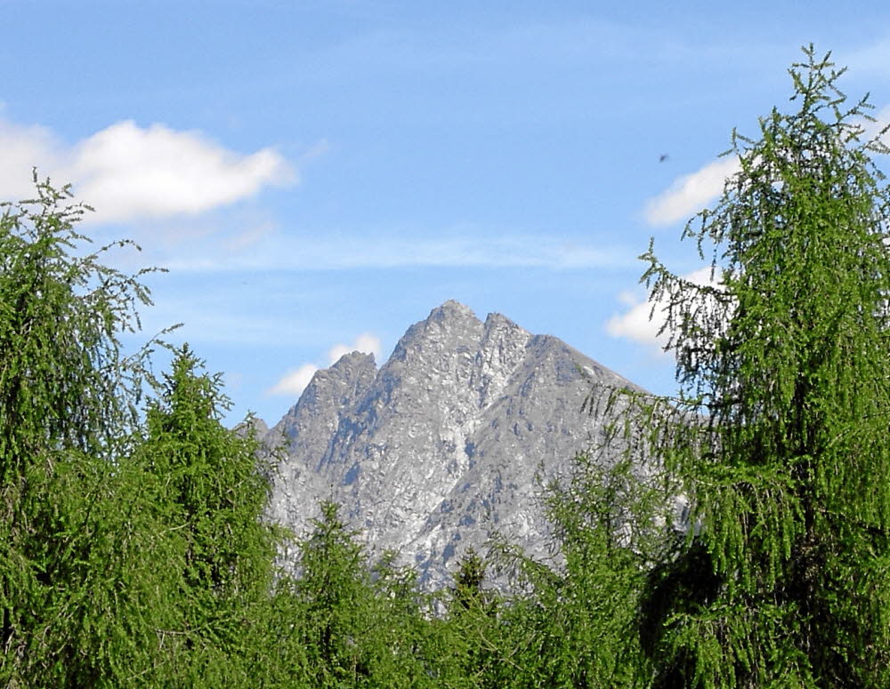 IMGP0259