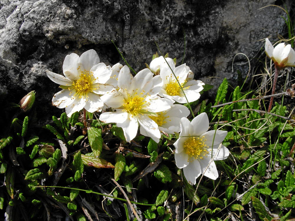 IMGP0305