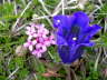 IMGP0370