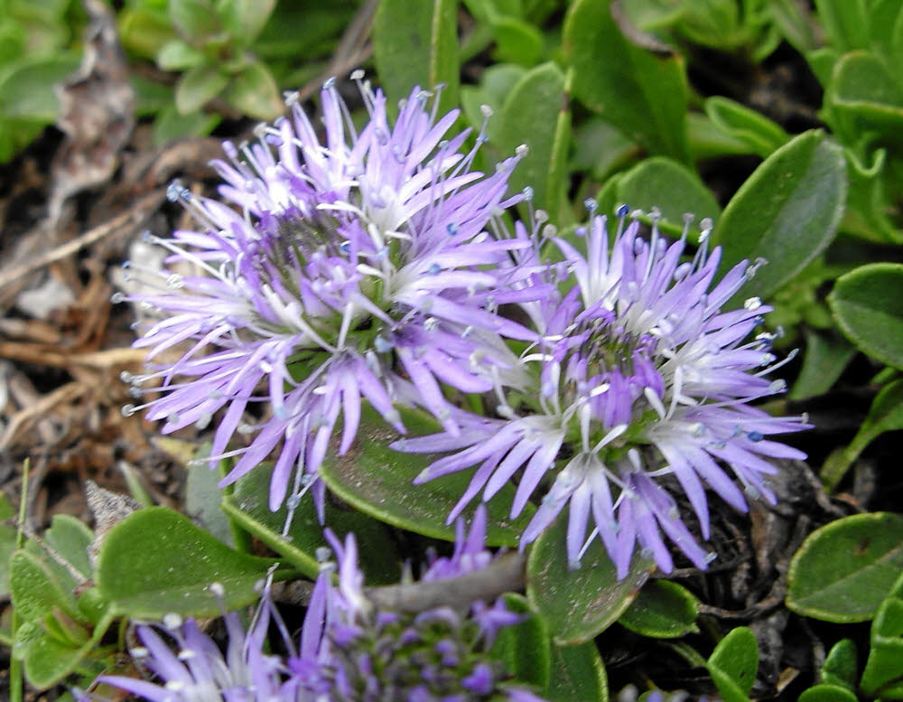 IMGP0374