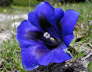 IMGP0384