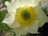 IMGP0410