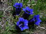 IMGP0447