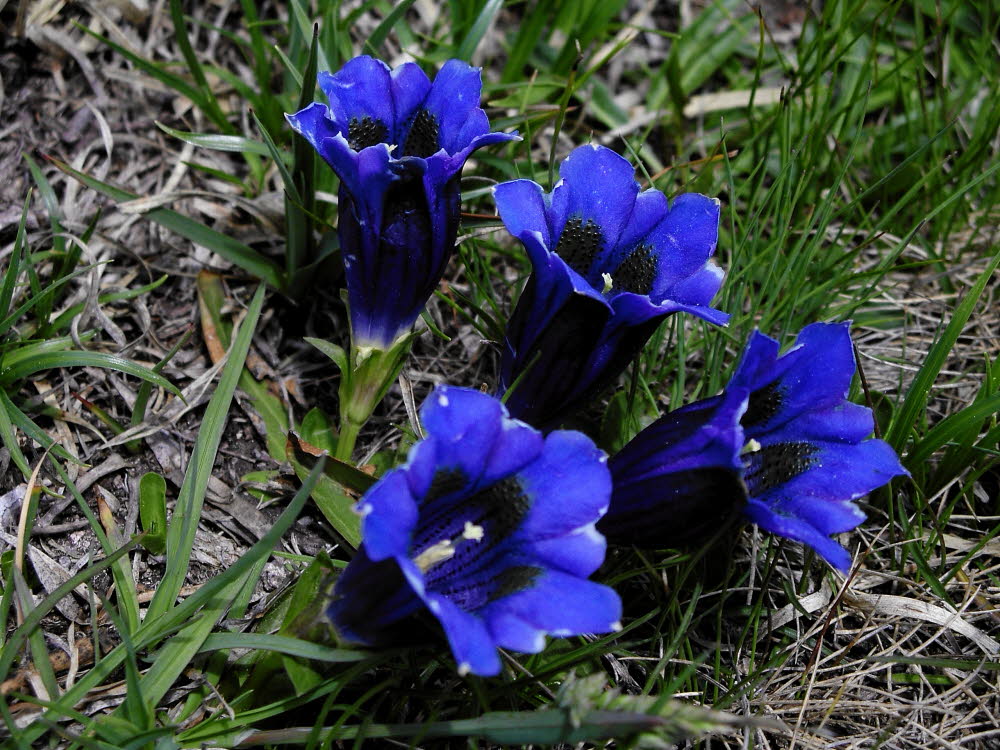IMGP0447