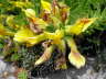 IMGP0468