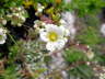 IMGP0471