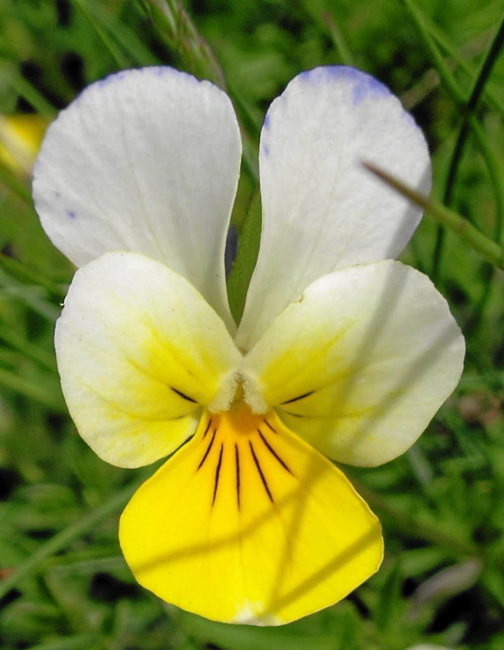 IMGP0472
