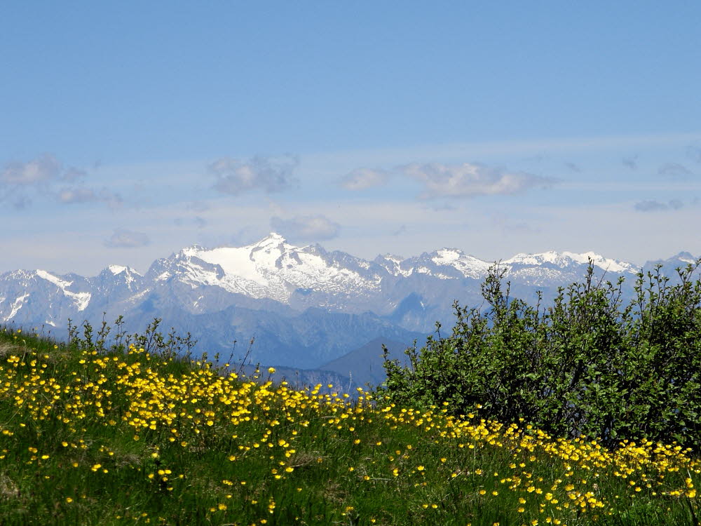IMGP0522