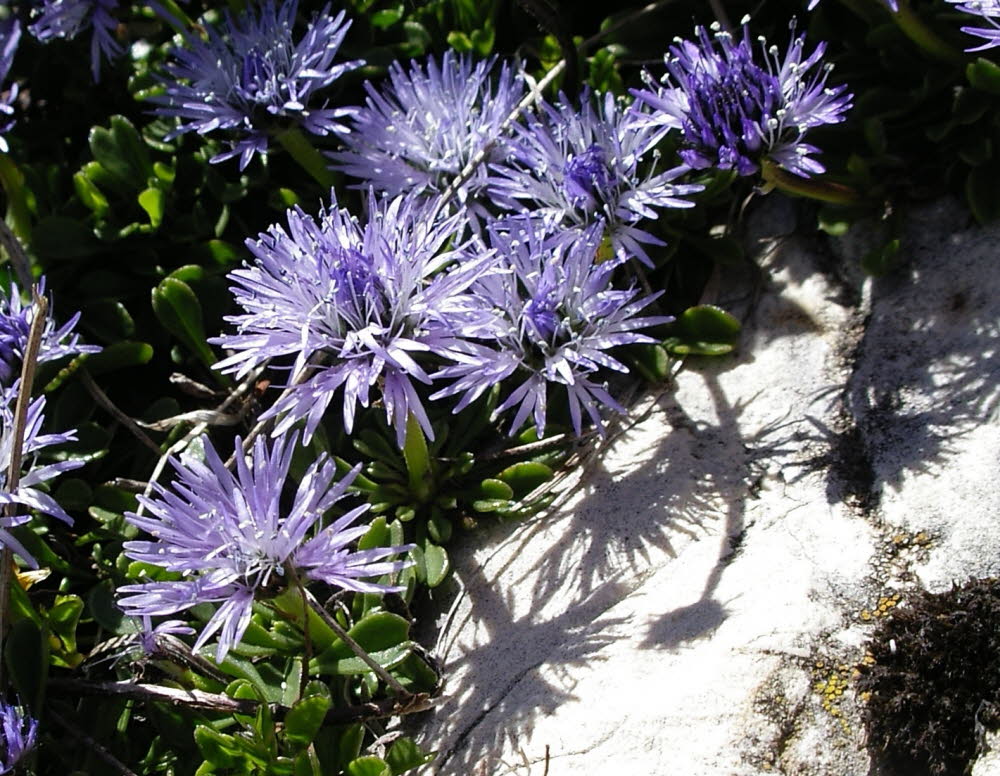 IMGP0524