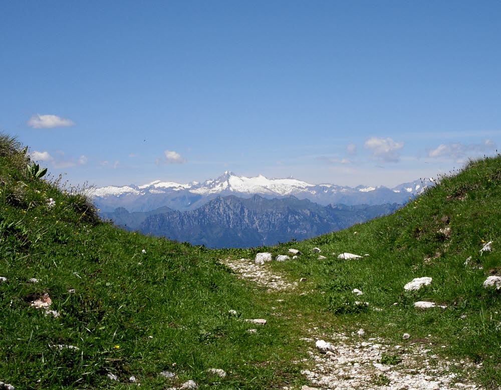 IMGP0525