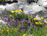 IMGP0536