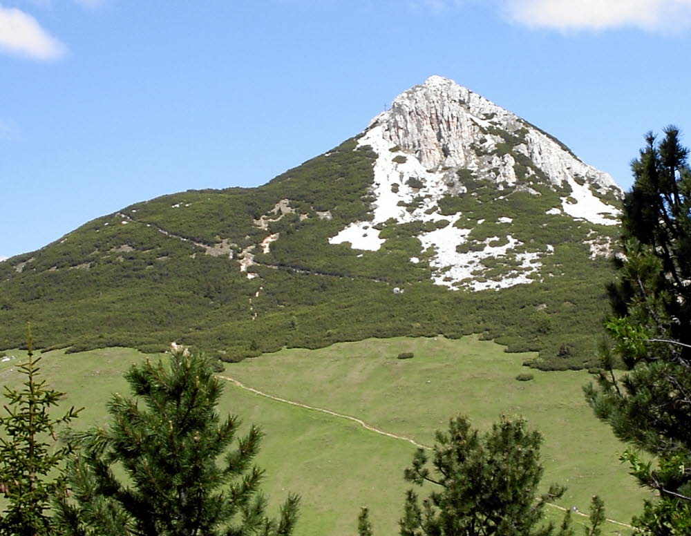IMGP0556