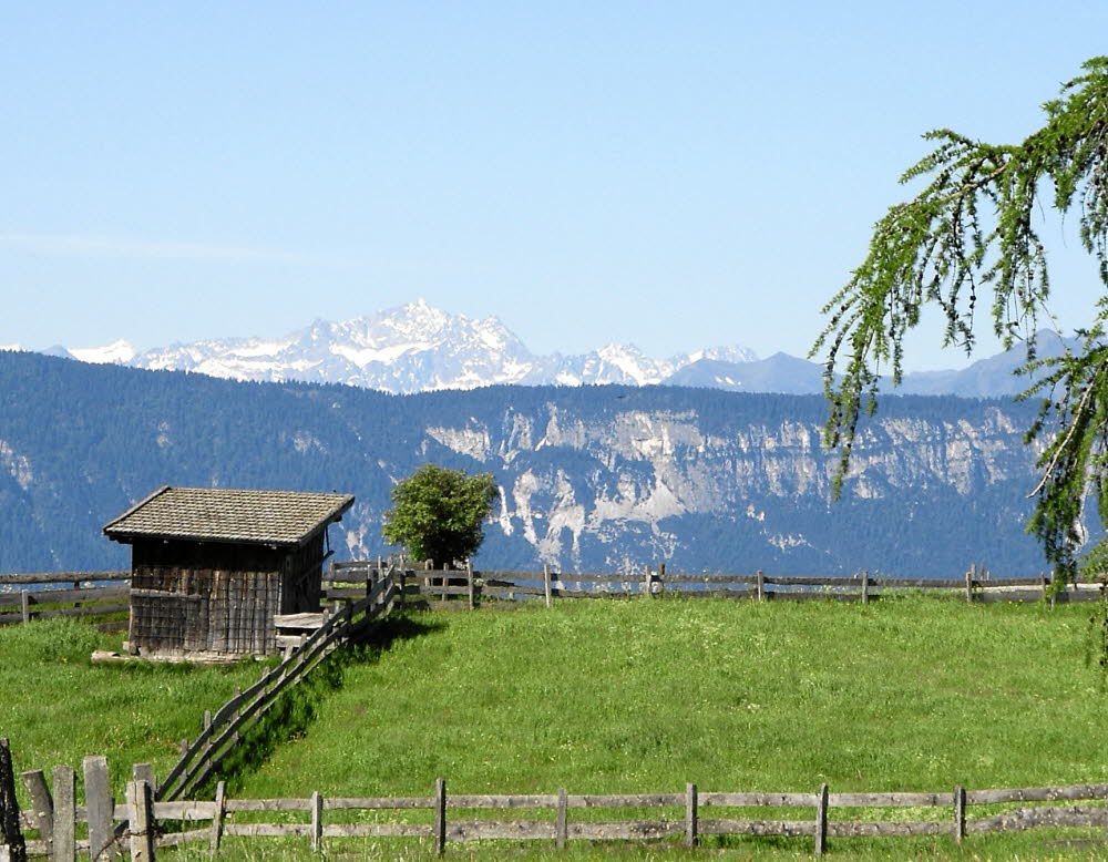 IMGP0586
