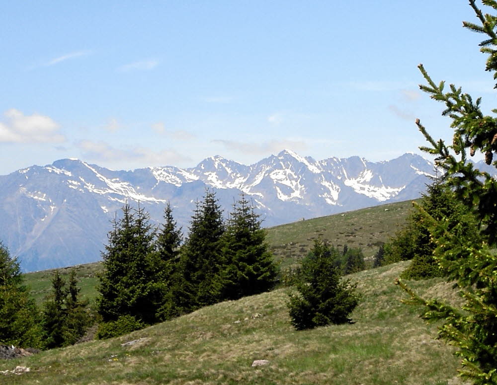 IMGP0596