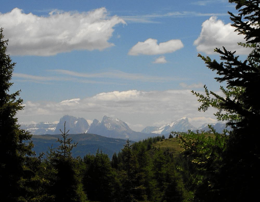 IMGP0602