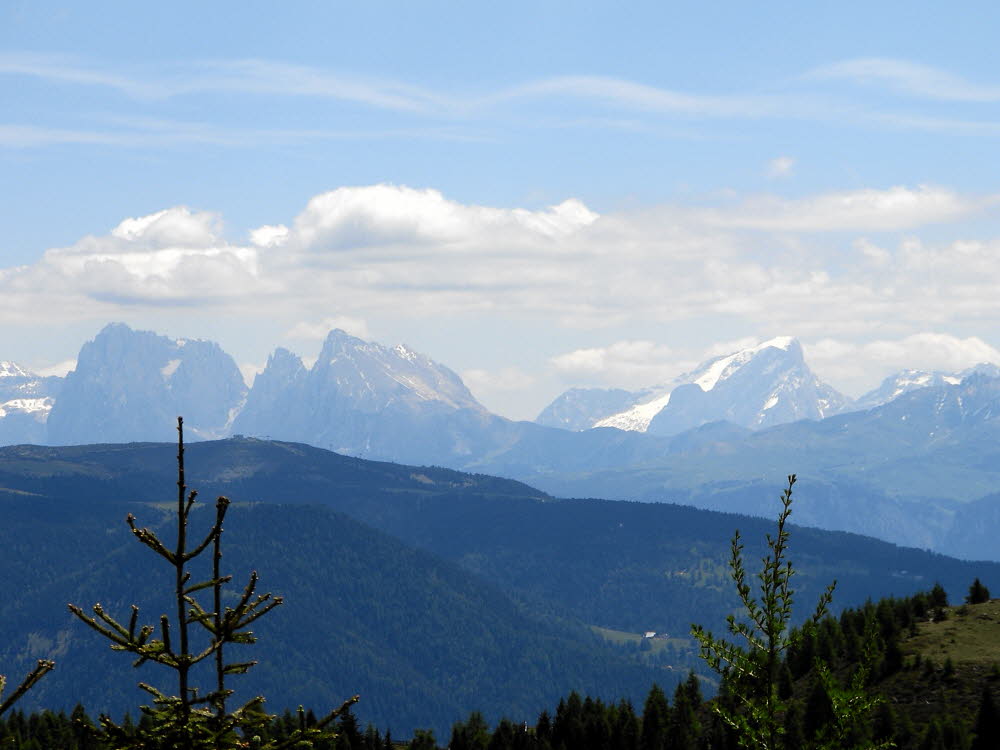 IMGP0604