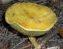 IMGP0788