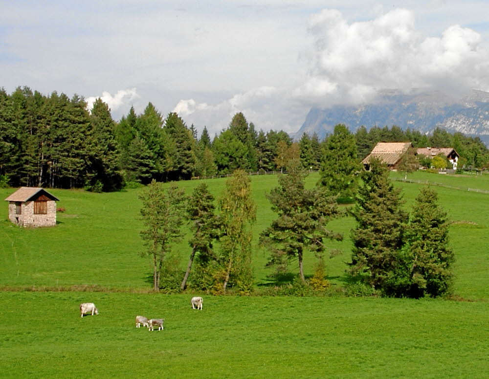 IMGP0790