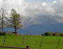 IMGP0791